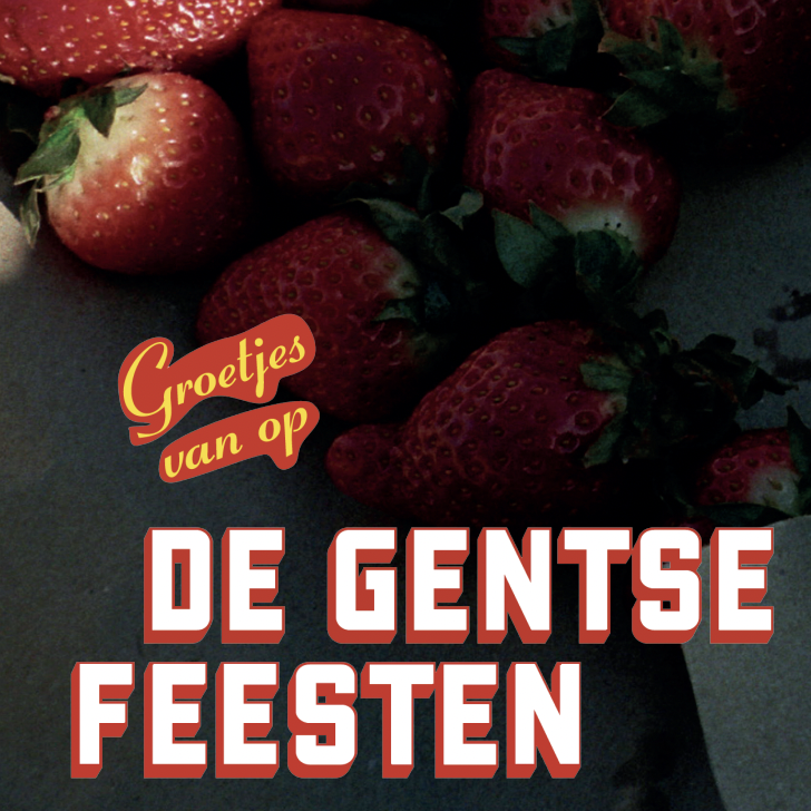 Onze brochure is klaar! (Hopen we.)